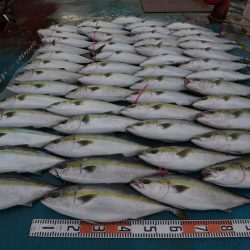 アジアマリンサービス 釣果