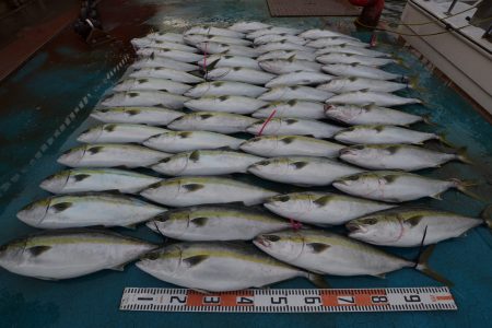 アジアマリンサービス 釣果