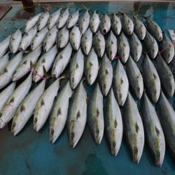 アジアマリンサービス 釣果