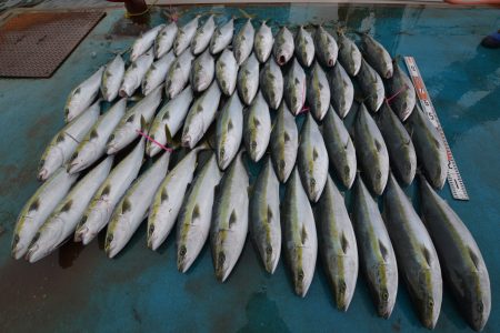 アジアマリンサービス 釣果