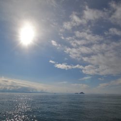 アジアマリンサービス 釣果