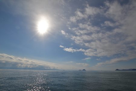 アジアマリンサービス 釣果