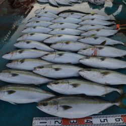 アジアマリンサービス 釣果