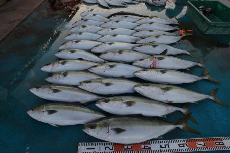 アジアマリンサービス 釣果