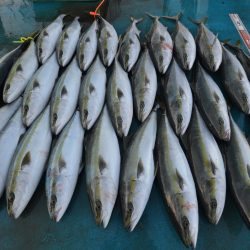 アジアマリンサービス 釣果