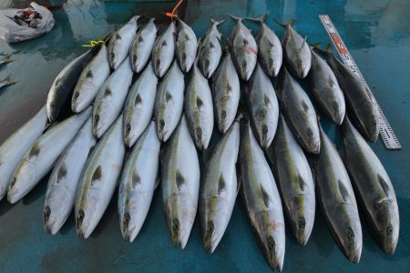 アジアマリンサービス 釣果