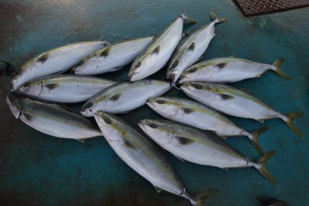 アジアマリンサービス 釣果