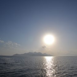 アジアマリンサービス 釣果