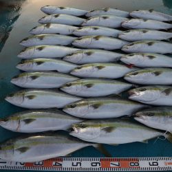 アジアマリンサービス 釣果