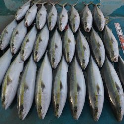 アジアマリンサービス 釣果