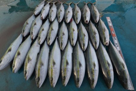 アジアマリンサービス 釣果