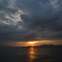 アジアマリンサービス 釣果