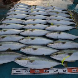 アジアマリンサービス 釣果