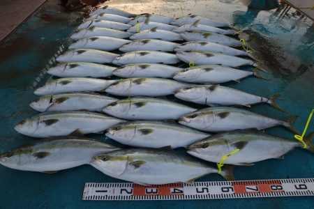 アジアマリンサービス 釣果