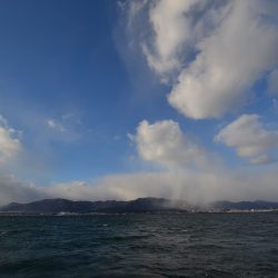 アジアマリンサービス 釣果