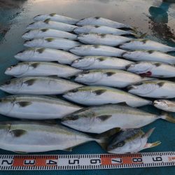 アジアマリンサービス 釣果