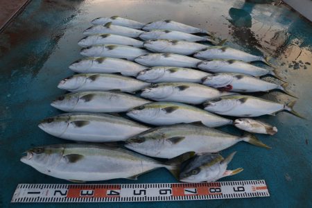 アジアマリンサービス 釣果