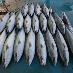 アジアマリンサービス 釣果