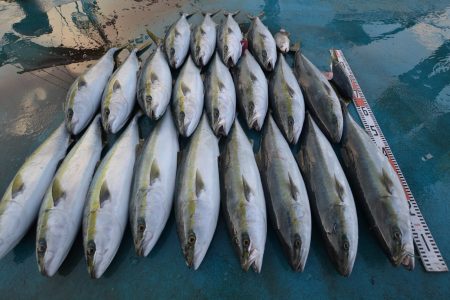 アジアマリンサービス 釣果