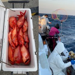 番匠高宮丸 釣果