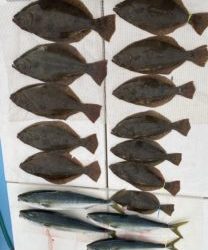 さぶろう丸 釣果