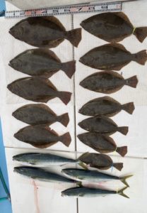 さぶろう丸 釣果