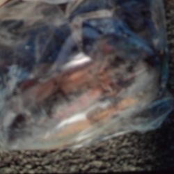 こかわ渡船　雅丸 釣果