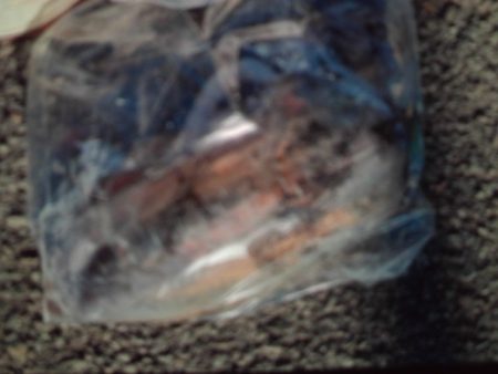 こかわ渡船　雅丸 釣果