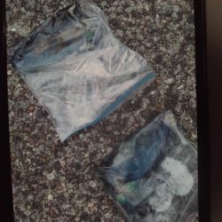 こかわ渡船　雅丸 釣果