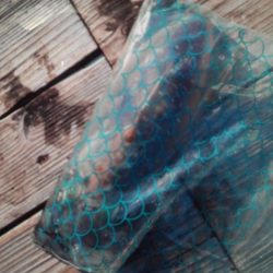 こかわ渡船　雅丸 釣果