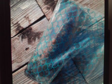 こかわ渡船　雅丸 釣果