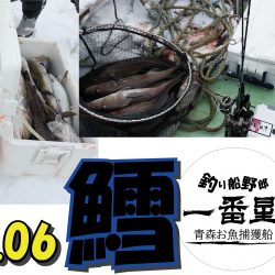 釣り船一番星 釣果