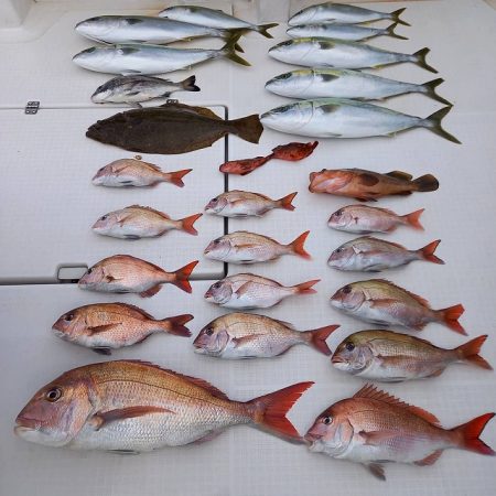 フィッシングボートACE(エース) 釣果