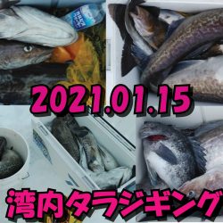 釣り船一番星 釣果