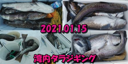 釣り船一番星 釣果