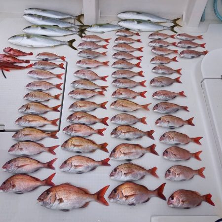 フィッシングボートACE（エース） 釣果