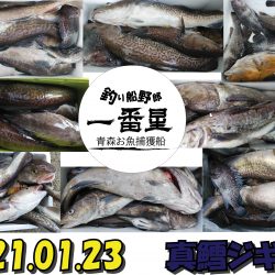 釣り船一番星 釣果