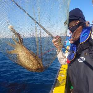 濱生丸 釣果