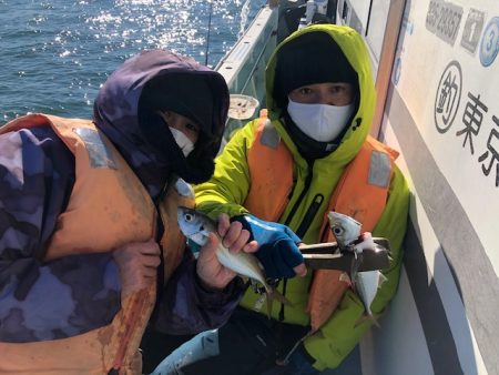 深川　吉野屋 釣果