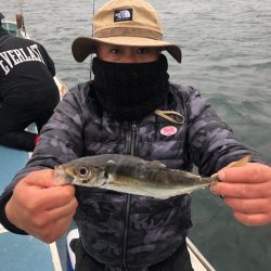 深川　吉野屋 釣果