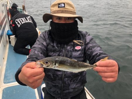 深川　吉野屋 釣果