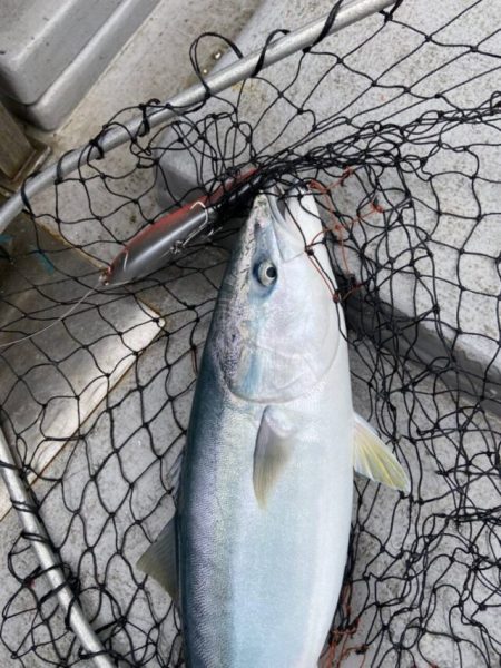 武蔵丸 釣果