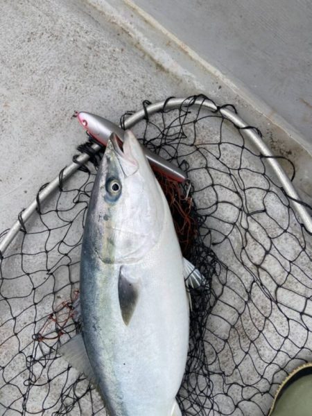 武蔵丸 釣果