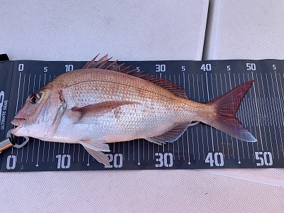 フィシングボートAir(エアー) 釣果