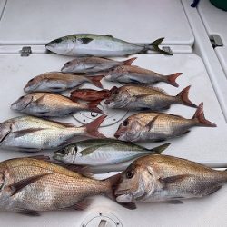 フィシングボートAir(エアー) 釣果