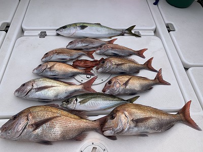 フィシングボートAir(エアー) 釣果