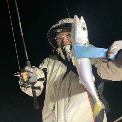 フィシングボートAir(エアー) 釣果