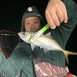 フィシングボートAir(エアー) 釣果