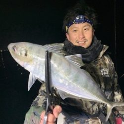 フィシングボートAir(エアー) 釣果