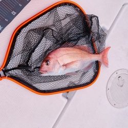 フィシングボートAir(エアー) 釣果